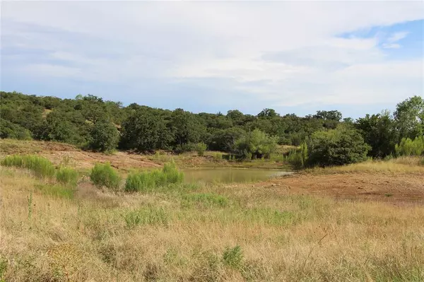 Cisco, TX 76437,TBD Lot 102/103 Hidden Shores Drive