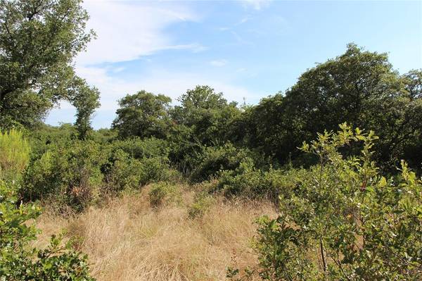 Cisco, TX 76437,TBD Lot 102/103 Hidden Shores Drive