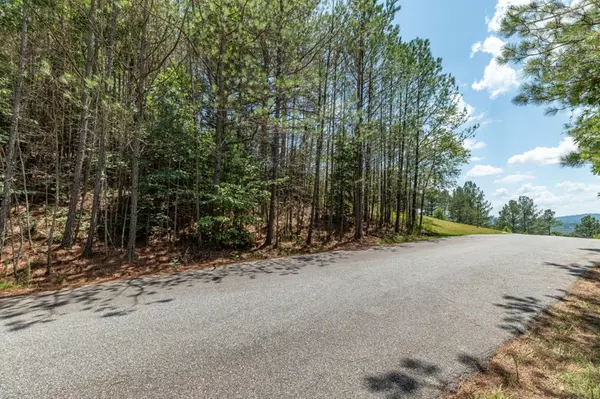 Blairsville, GA 30512,Lot 20 Pinehurst