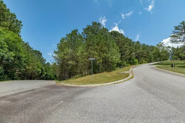 Blairsville, GA 30512,Lot 20 Pinehurst