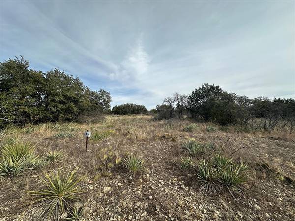 Brownwood, TX 76801,TBD Lot 45 County Road 589