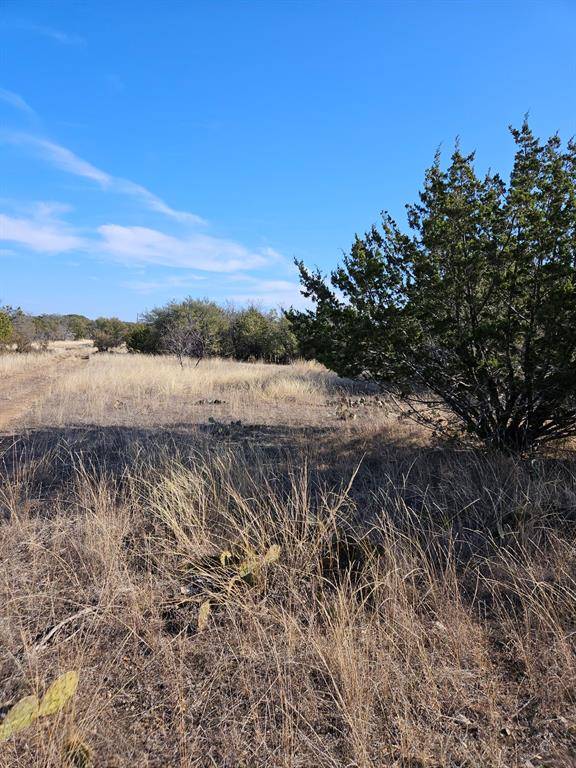 116 Livingston Drive, Brownwood, TX 76801