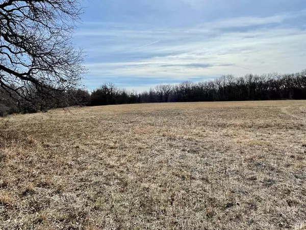 Montague, TX 76251,Lot 1 Fm 455