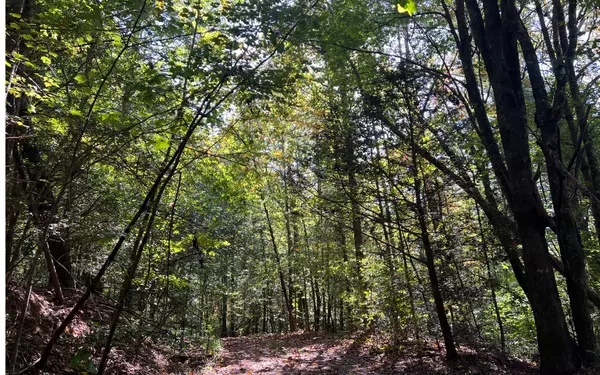 Ellijay, GA 30540,5 ACRES Conasauga Drive