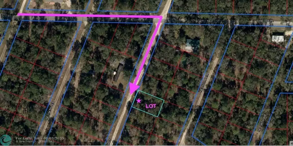 Williston, FL 32696,000 NE 155 CT