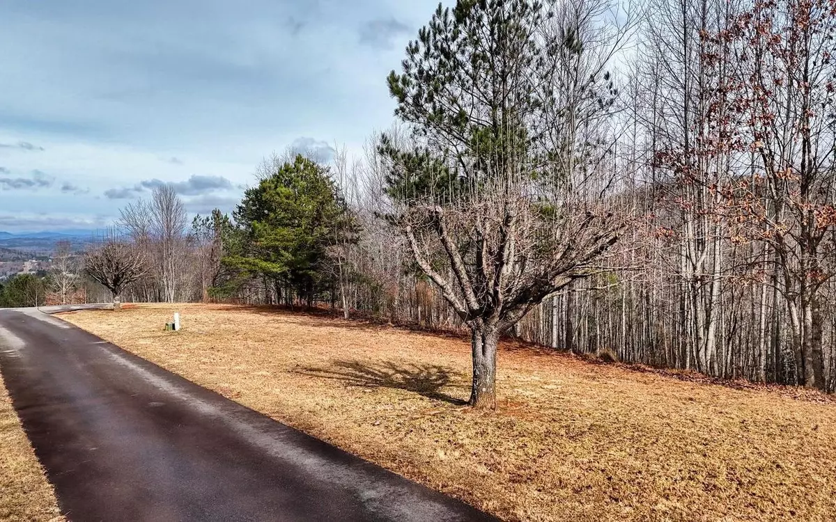 Blairsville, GA 30512,0 The Summit Lot 69