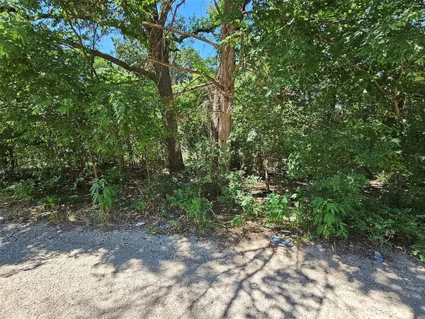 Quinlan, TX 75474,Lot 2 Bird Hill Drive