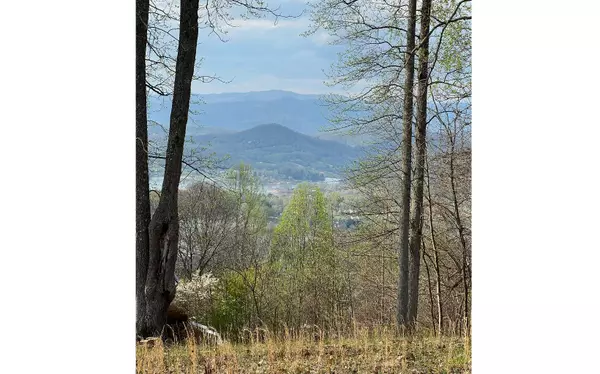 LOT74 Eagles View Smt, Hayesville, NC 28904