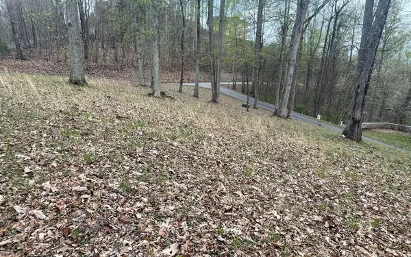 Hayesville, NC 28904,LOT74 Eagles View Smt