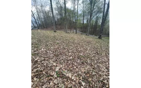 Hayesville, NC 28904,LOT74 Eagles View Smt