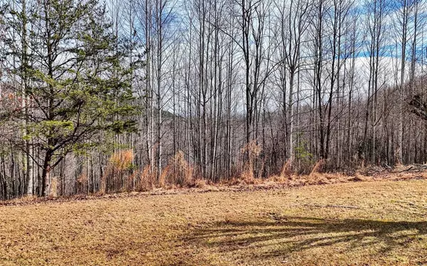 Blairsville, GA 30512,0 The Summit Lot 69