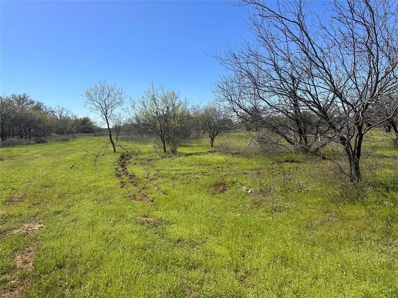 13288 County Road 136, Ranger, TX 76470