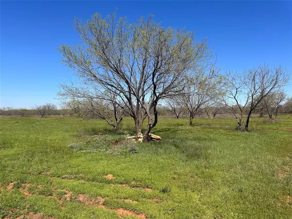 Ranger, TX 76470,13288 County Road 136