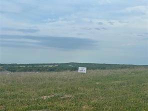 Springtown, TX 76082,TBD-9 N Old Agnes Road