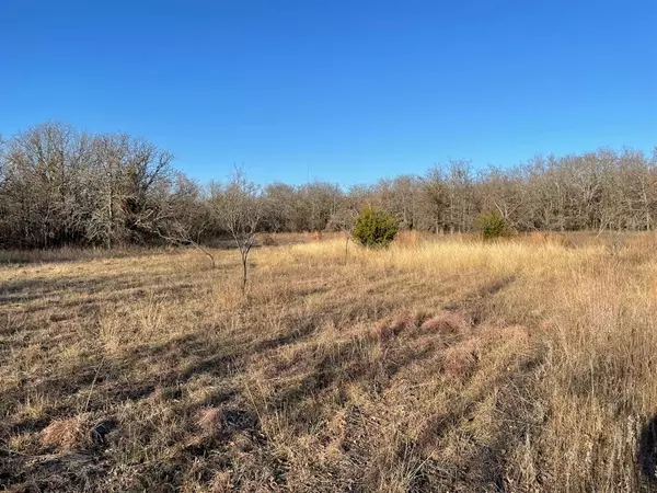 Perrin, TX 76486,00 2 Bush Road