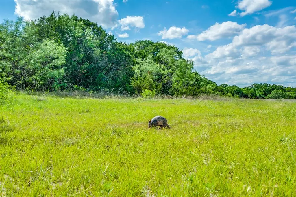 Stephenville, TX 76401,TBD County Road 175