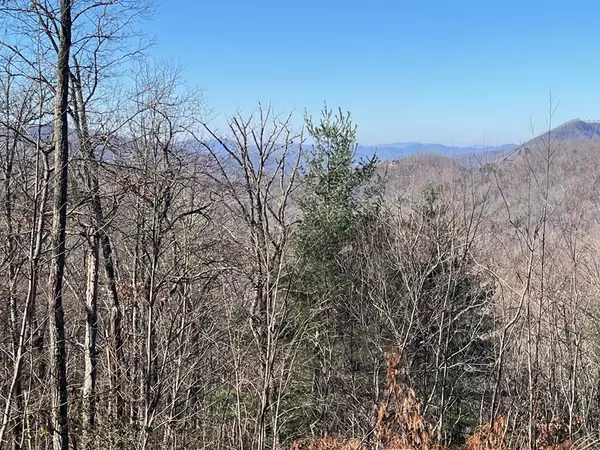 Hayesville, NC 28904,Lot 37 Sky View Drive