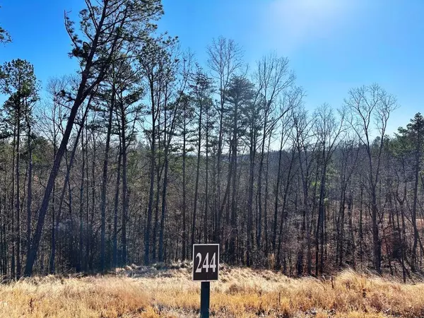 Lot 244 Spear Point Dr, Talking Rock, GA 30175