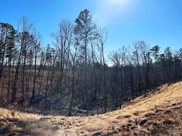 Talking Rock, GA 30175,Lot 244 Spear Point Dr