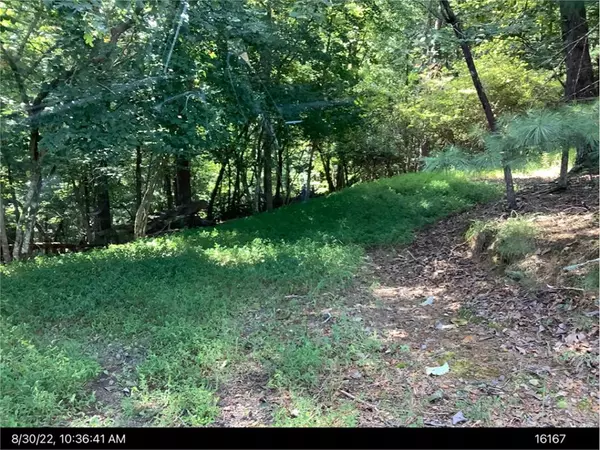 Lot 715 Hilary Court, Ellijay, GA 30540