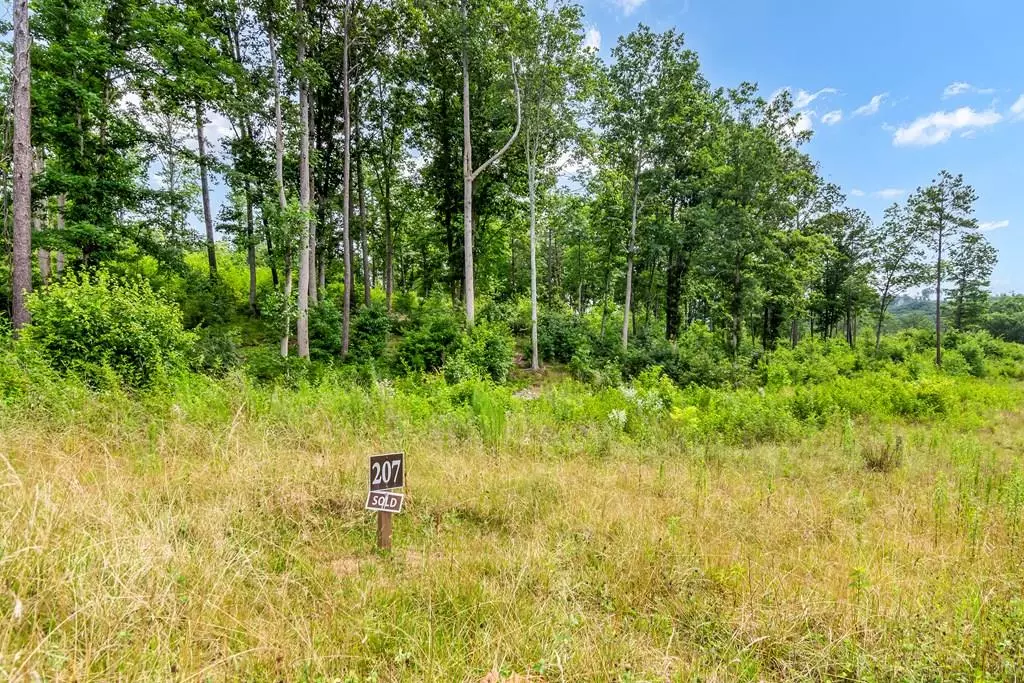 Talking Rock, GA 30175,Lot 207 Oak Park Drive