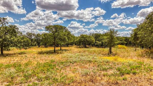 Poolville, TX 76487,TBD 6 Sedona Creek Court