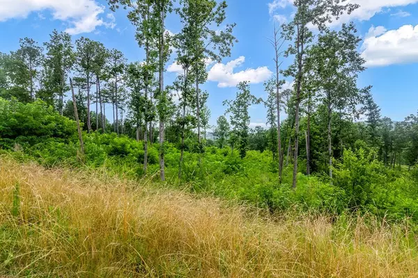 Talking Rock, GA 30175,Lot 207 Oak Park Drive