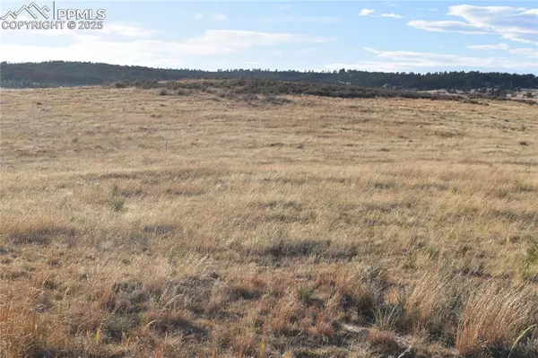 Elbert, CO 80106,0 (Lot 3) County Road 102