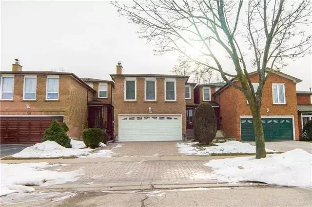 40 Burnt Bark DR #Bsmt, Toronto E05, ON M1V 3J8