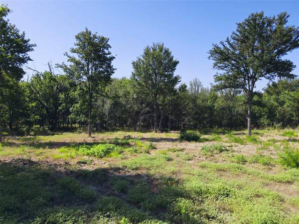 Corsicana, TX 75109,Lot 28 Sunrise Trail