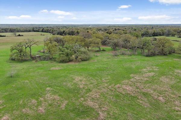 Teague, TX 75860,TBD Tract 4 Fcr 930