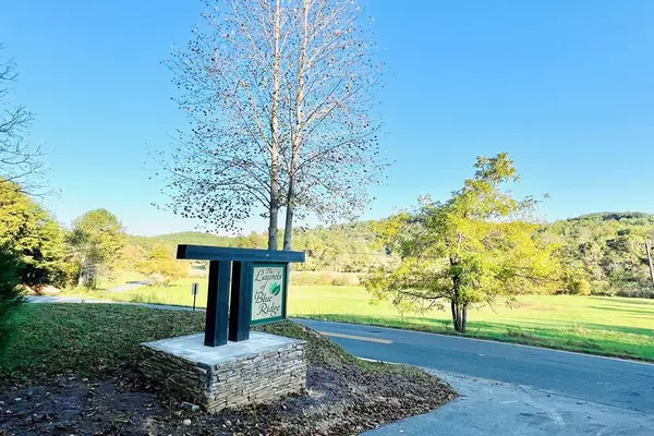 Mineral Bluff, GA 30559,Lot. 10 Mountain Laurel Ridge