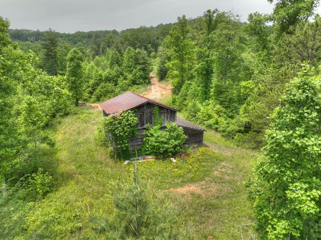 Blue Ridge, GA 30513,LOT 1 Hidden Acres