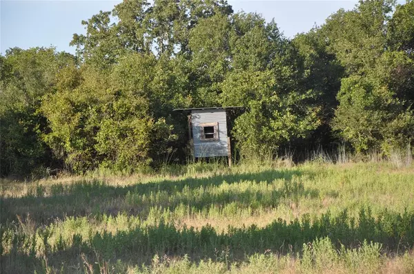 Gordon, TX 76453,TBD County Road 125