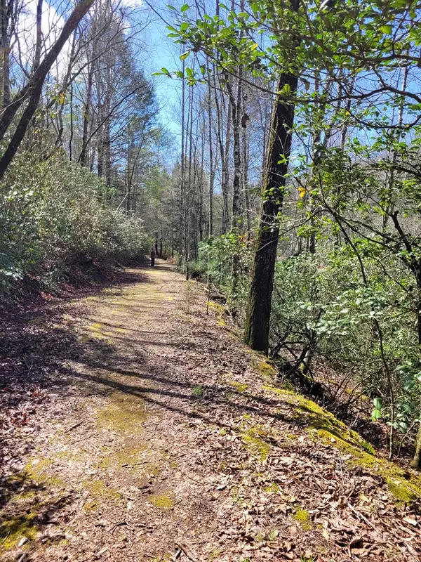 Dahlonega, GA 30533,Lot 107B Frogtown Place