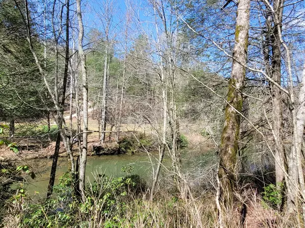 Dahlonega, GA 30533,Lot 107B Frogtown Place