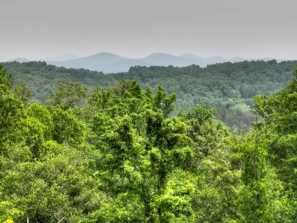 LOT 2 Hidden Acres, Blue Ridge, GA 30513