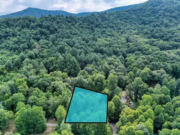 Hiawassee, GA 30546,3984 Hickory Nut Road