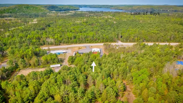 Lake Of Bays, ON P0A 1H0,25754 35 Highway N RD S #Unit 2