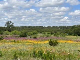 Brownwood, TX 76801,TBD Fm 2492 & CR 103