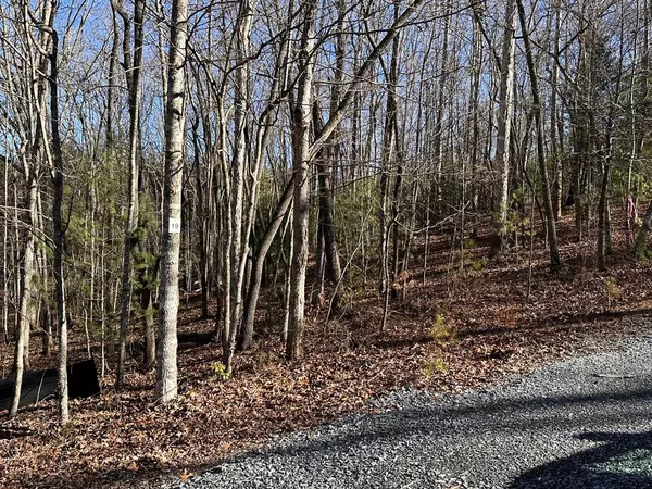 lot 19 Fairview Drive, Morganton, GA 30560