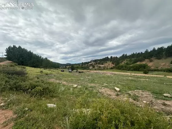 1156 Anges DR, Cripple Creek, CO 80813