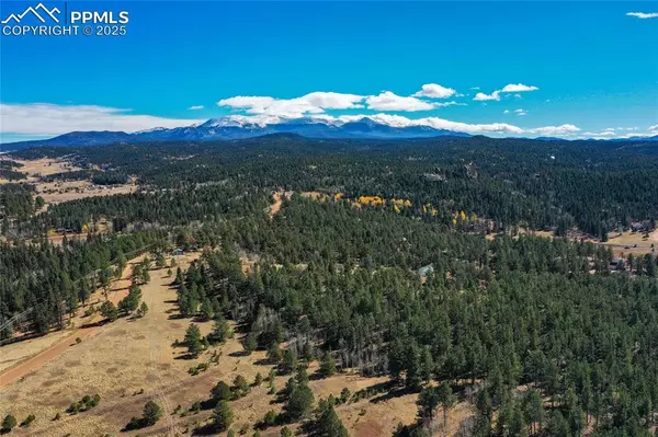 2756 County Road 421, Florissant, CO 80816