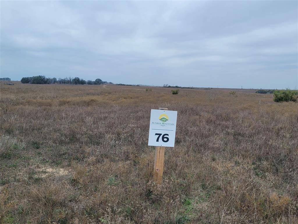 Stephenville, TX 76401,TBD Adobe Hill Drive #Lots 75 & 76