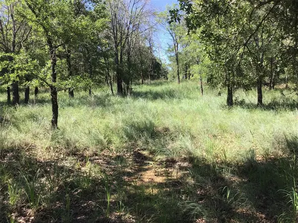 Chico, TX 76431,Lot 286 Cozy Cove Court