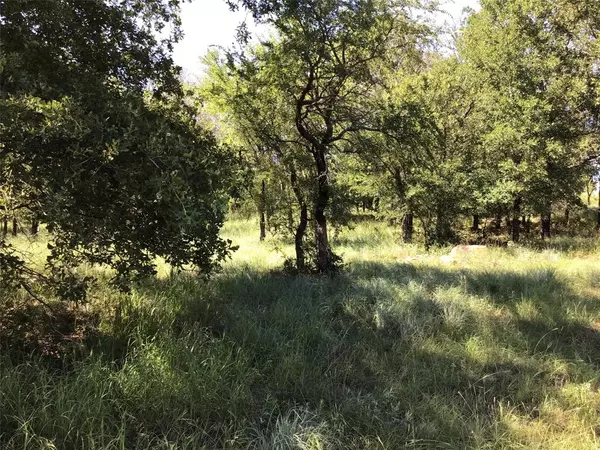 Chico, TX 76431,Lot 286 Cozy Cove Court