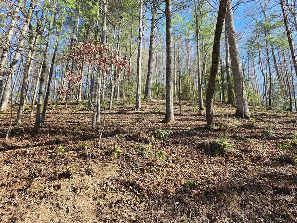 Hiawassee, GA 30546,Lot 67 Hi Ridge Road