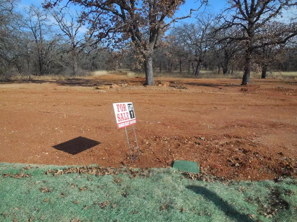 Eastland, TX 76448,Lot 7 Inspiration Boulevard