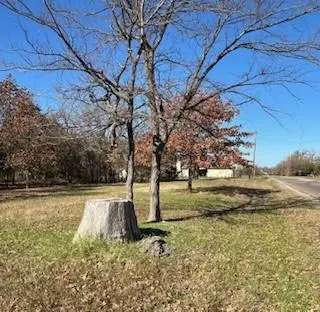 Streetman, TX 75859,Lot 15,16 Loper Drive