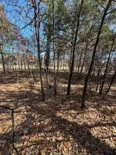 Streetman, TX 75859,Lot 15,16 Loper Drive